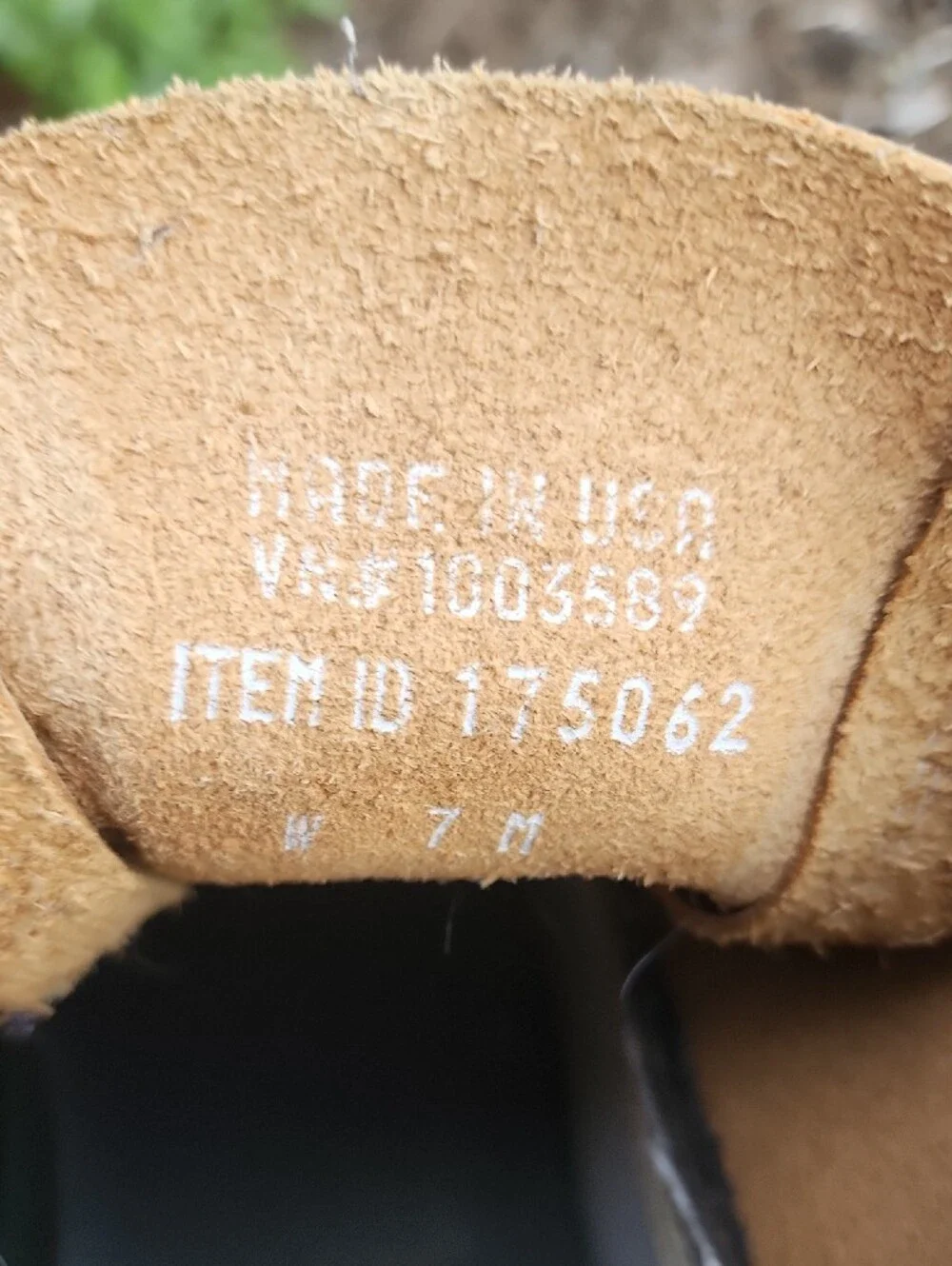 LL Bean 6